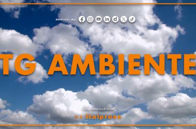 Tg Ambiente - 7/12/2025
