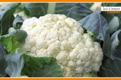 Sorsi di Benessere - Un pesto di cavolfiore salutare e pratico