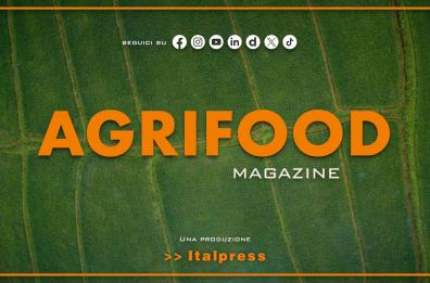 Agrifood Magazine - 4/2/2026