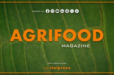 Agrifood Magazine - 31/12/2025