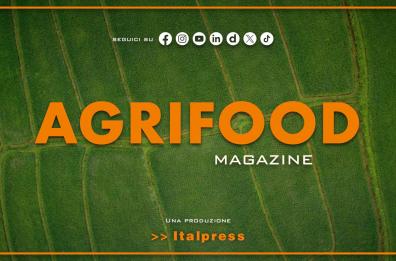 Agrifood Magazine - 4/3/2026