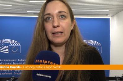 Ue, Guarda "Serve una strategia per l'autonomia energetica"