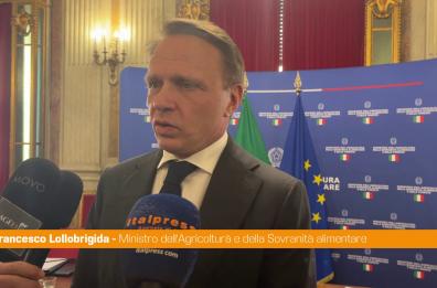 Nuovo accordo Masaf-Alibaba, Lollobrigida "Ampliamo indicazioni geografiche"