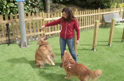 A MagicLand nasce DogLand - Anas, area dedicata al divertimento dei cani