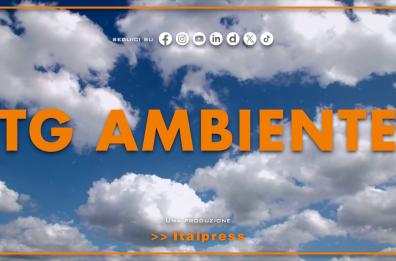 Tg Ambiente - 5/4/2026