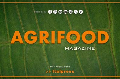 Agrifood Magazine - 8/4/2026