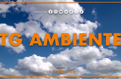 Tg Ambiente - 12/4/2026