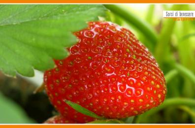 Sorsi di Benessere - Una merenda con fragole e skyr