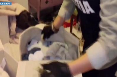 21 misure cautelari a Firenze per traffico e spaccio di droga