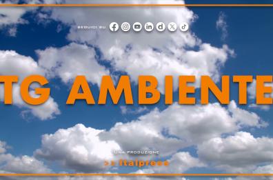 Tg Ambiente - 15/2/2026