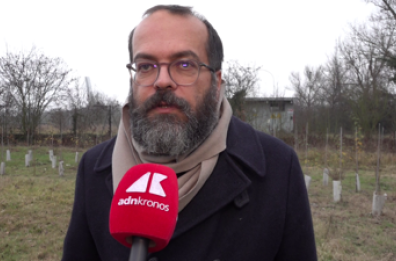 KilometroVerdeParma, più alberi diffusi in città per combattere caldo e cemento KilometroVerdeParma, più alberi diffusi in città per combattere caldo e cemento