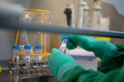 Prostata, svelata la rotta segreta delle infezioni: la scoperta rivoluzionaria