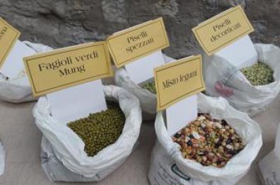 Dalle lenticchie alla cicerchia, ad ogni legume le sue propriet&agrave;