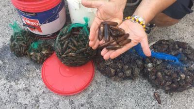 Molfetta, fondale marino devastato per la pesca dei datteri di mare: 25 persone in carcere, 10 ai domiciliari Coinvolti pure ristoratori TUTTI I NOMI