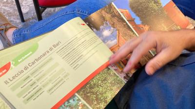 Puglia, secondo volume dell'Atlante per i 180 alberi monumentali nella regione