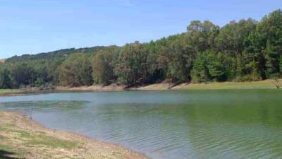 Aperte le paratoie della diga di San Giuliano, l'appello della Regione Puglia: &laquo;Innalzare la quota&raquo;