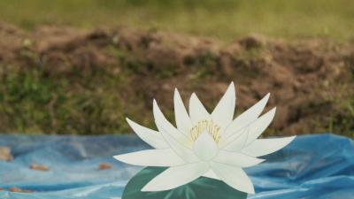 A Lecce la mostra &laquo;Falling&raquo; di Driant Zeneli: la caduta come trasformazione, politica e realismo magico