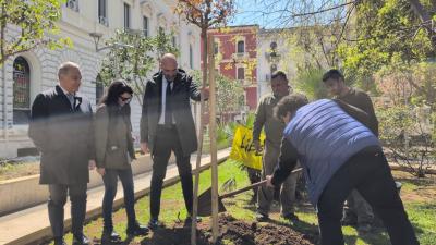Bari, in piazza Cesare Battisti piantato un albero in ricordo delle vittime innocenti di mafia