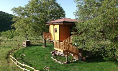 Il sogno di una casa sull&rsquo;albero diventa realt&agrave; a Sasso di Castalda