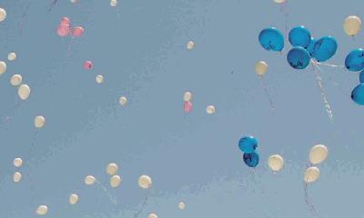 Salento: &laquo;Stop ai palloncini lanciati in volo, inquinano e minacciano animali&raquo;