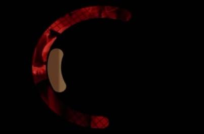 "Siamo serie": As bestas la terra della discordia, Un bel mattino e What We Do in the Shadows