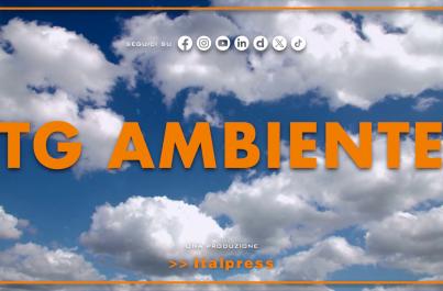 Tg Ambiente - 22/2/2026