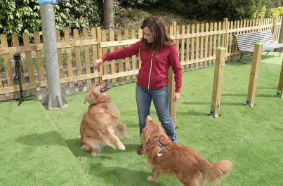 A MagicLand nasce DogLand - Anas, area dedicata al divertimento dei cani