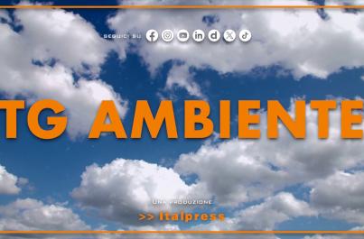 Tg Ambiente - 5/4/2026