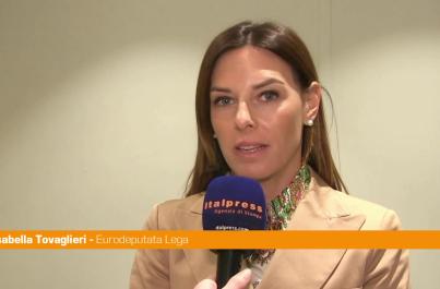 Ungheria, Tovaglieri "Tentativi di influenzare elezioni con ingerenze esterne"