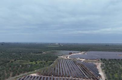 Puglia, una legge per favorire gli impianti a energie rinnovabili: oggi l'ok in giunta. L'ira degli ambientalisti