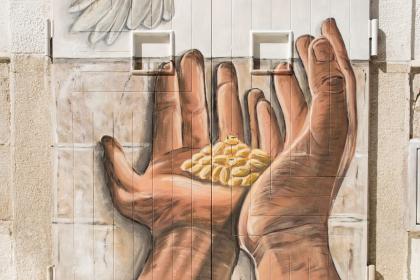 Canosa Le Ali Della Speranza Nella Nuova Opera Di Piskv Foto 1 Di 6 La Gazzetta Del Mezzogiorno