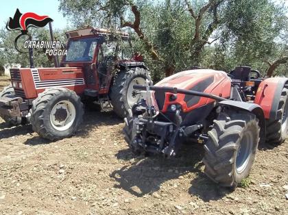 San Severo Rinvenuti Trattori Rubati Nel Molise Erano Nascosti Tra La Vegetazione La Gazzetta Del Mezzogiorno
