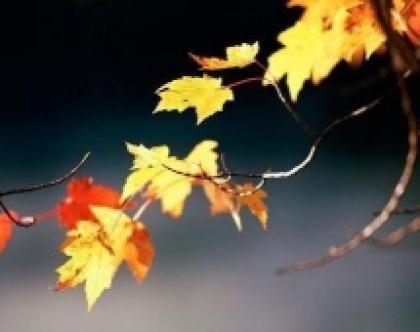 Giuseppe Velardi Ed Un Anima Come Le Foglie Al Vento La Gazzetta Del Mezzogiorno