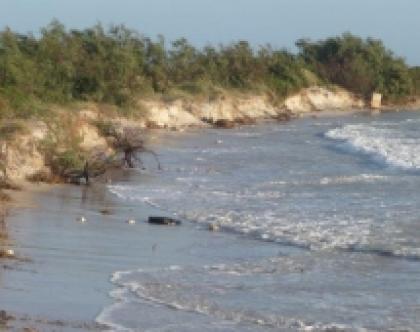 Allarme A Scanzano La Spiaggia Se La Sta Mangiando Il Mare La Gazzetta Del Mezzogiorno