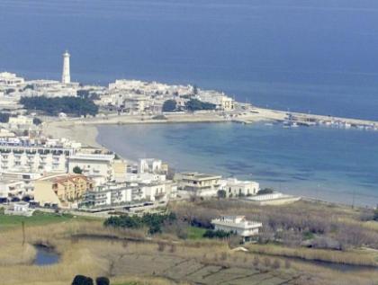 brindisi in mare dilaga l alga tossica sconsigliata balneazione la gazzetta del mezzogiorno