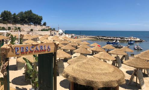 Trani Apre Pescaria A Due Passi Dal Mare Con Pesce Sostenibile E Attenzione Al Plastic Free La Gazzetta Del Mezzogiorno