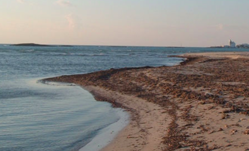 metaponto riscaldamento il litorale jonico sempre piu a rischio la gazzetta del mezzogiorno