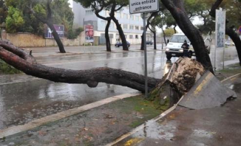Puglia Flagellata Da Gelo E Vento Forte Raffiche Fino A 100 Km H Nel Salento Dichiarata Allerta Arancione La Gazzetta Del Mezzogiorno