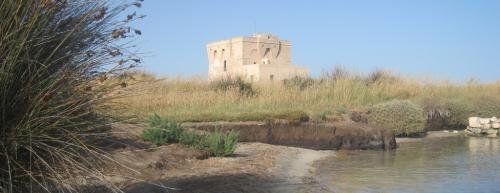 Mel Gibson approda a Torre Guaceto: l&rsquo;oasi protetta off limits fino al 4 maggio