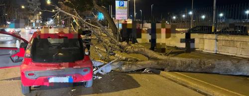 Maltempo a Bari, albero cade su auto per il vento forte: due feriti