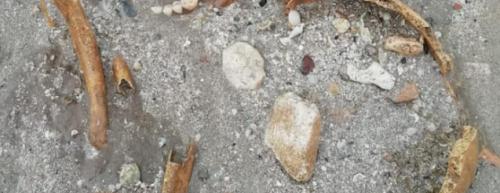 Porto Cesareo, mareggiata riporta alla luce tombe e scheletri