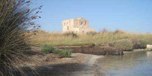 Mel Gibson approda a Torre Guaceto: l&rsquo;oasi protetta off limits fino al 4 maggio