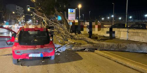 Maltempo a Bari, albero cade su auto per il vento forte: due feriti