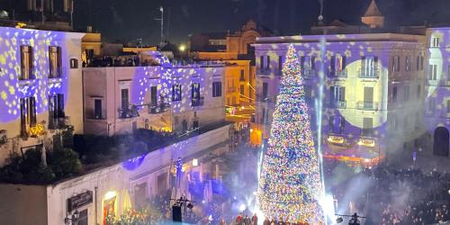 Ecco l'accensione dell’albero in piazza Ferrarese: luci e colori a Bari VIDEO