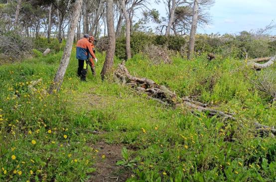 Isola dei Conigli a Porto Cesareo: avviati i lavori di manutenzione e tutela ambientale