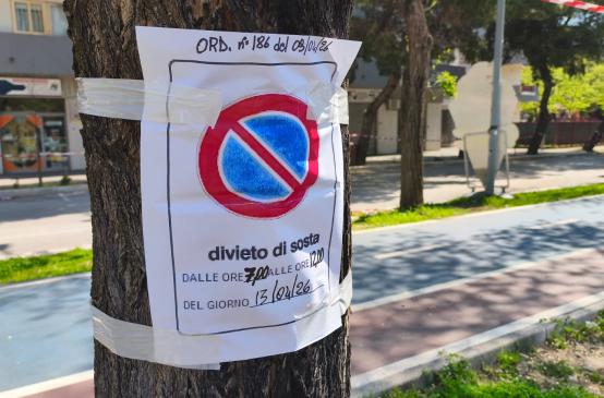 Foggia, chiuso al traffico Viale Europa: verifiche sugli alberi a seguito del maltempo
