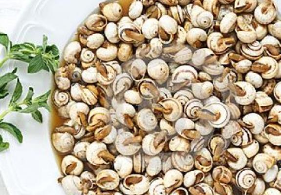 Lumache che passione