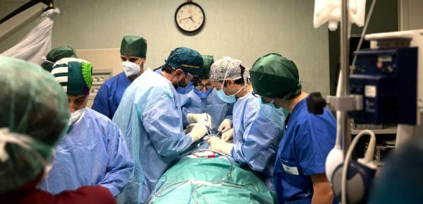 Chirurgia maxillo-facciale: il Policlinico di Bari hub per traumatologia e oncologia Chirurgia maxillo-facciale: il Policlinico di Bari hub per traumatologia e oncologia