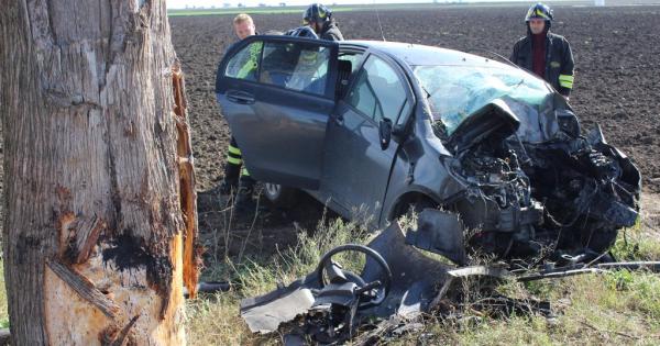 Auto fuori strada si ribalta morto ventenne bracciante - La ...