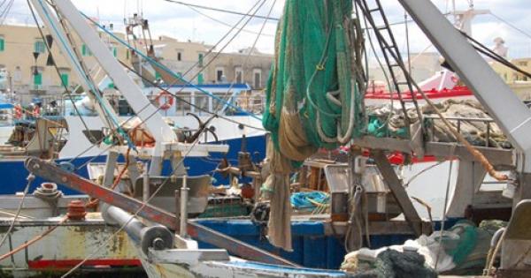 bari addio pesce fresco il fermo biologico fino al 20 agosto la gazzetta del mezzogiorno